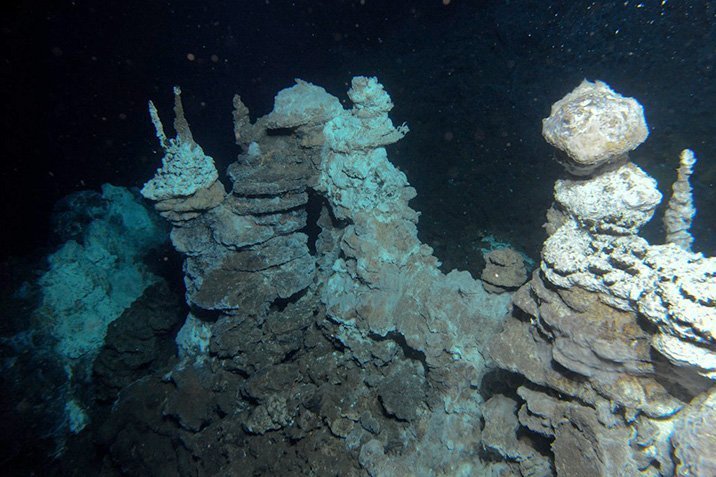 Unser Ur-Urahn war ein Archaeon