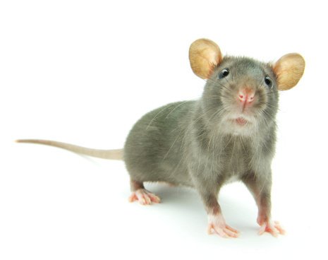Verlorene Erinnerungen wiederhergestellt