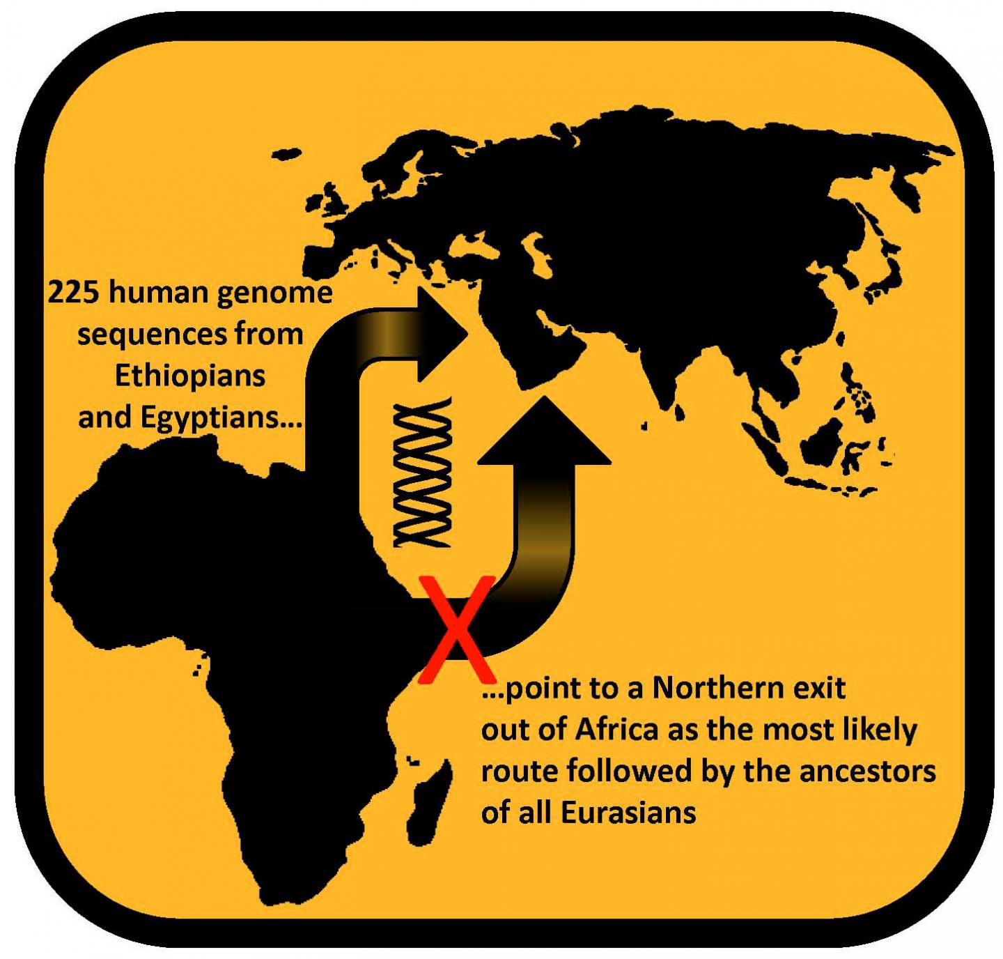 Wo verließen unsere Vorfahren Afrika?