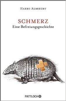 Der Sinn des Leidens
