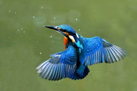 Naturschutz von seiner schönsten Seite