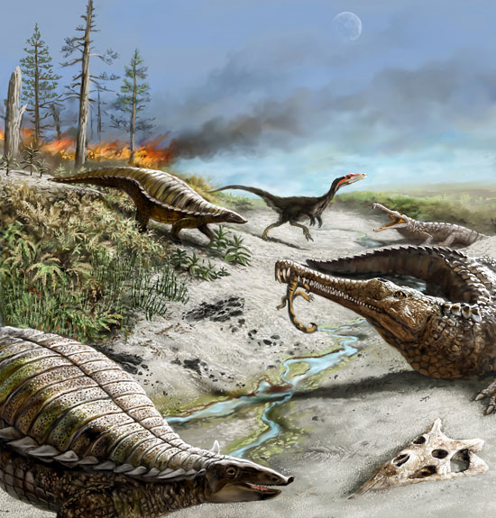 Was Dinos vom Äquator fernhielt