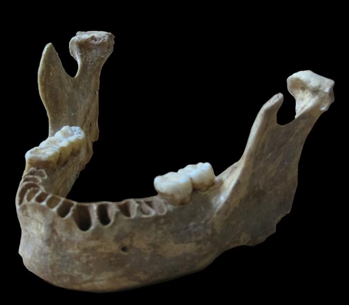 Wenige Generationen vom Neandertaler getrennt