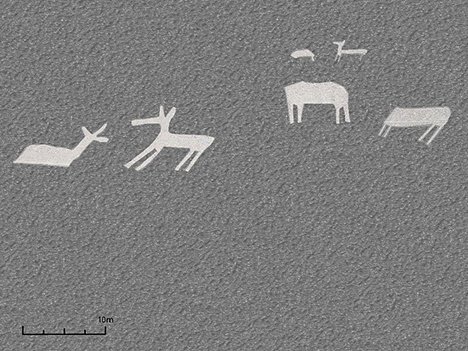 Neue Nazca-Geoglyphen entdeckt