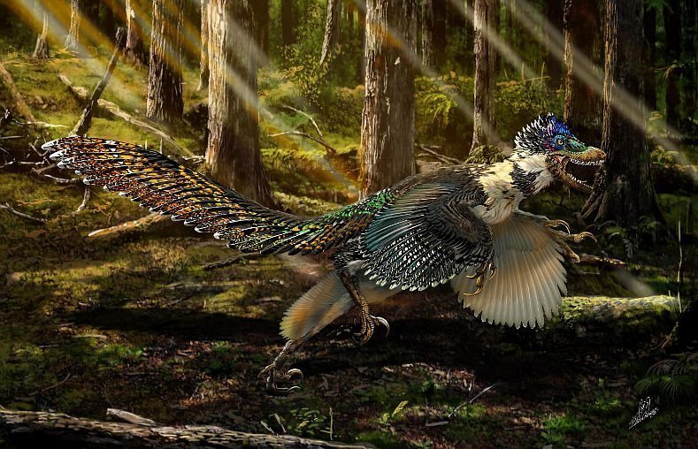 Prächtiger Velociraptor-Cousin entdeckt