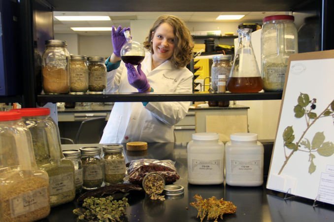 Antibiotikum-Alternative aus Kastanienblättern?