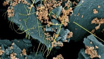 Energiewende mit Nano-Kohle