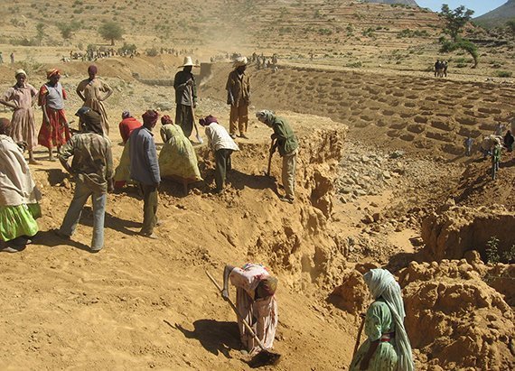 Bodendegradation kostet jährlich neun Billionen Euro