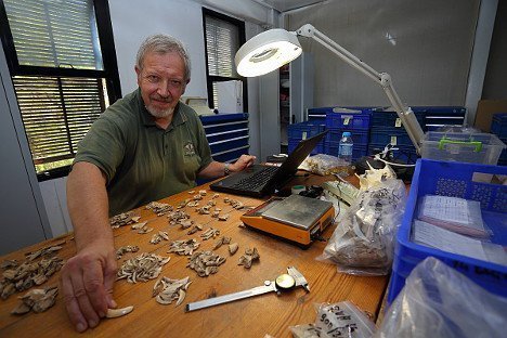„BoneLab Ephesos“: Tierischer Geschichte auf der Spur