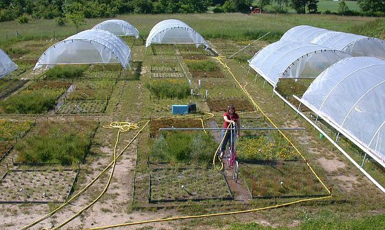 Bunter Naturschatz stärkt die Umwelt