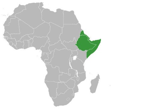 Dürreprognose für das Horn von Afrika