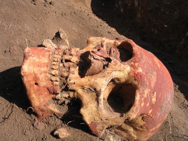 Pestspuren aus der Bronzezeit