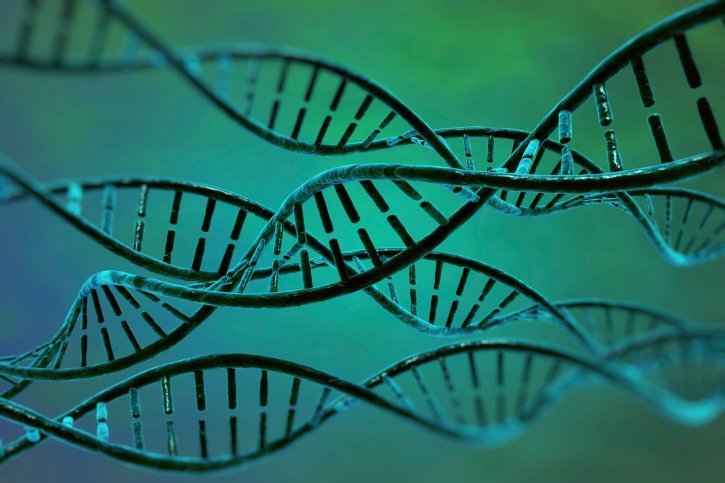 Sag mir, wo die Gene sind