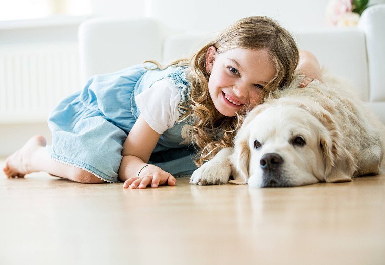 Hunde gegen Asthma