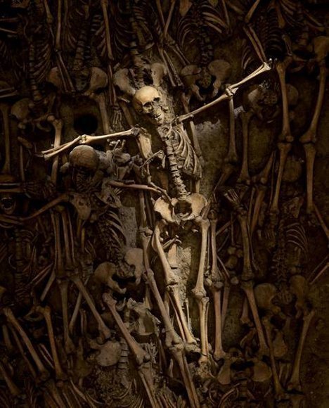 Sonderausstellung: Die Ursprünge des Kriegs