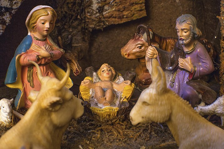 Weihnachten: Woher kommen Ochs und Esel?