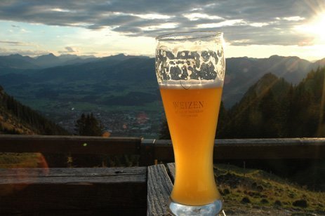 Keltisches Bier: Beifuß und Möhrensamen statt Hopfen
