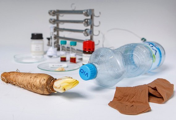 Nylonstrümpfe und Plastikflaschen aus Chicorée