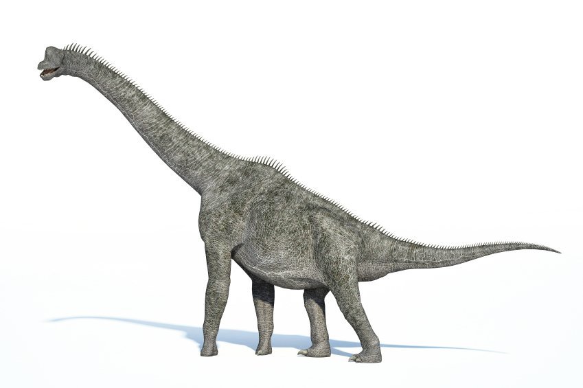 Sauropoden zweibeinig unterwegs?