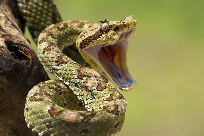 Schneller als das Auge