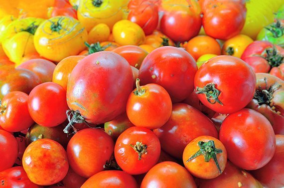 Strom aus Tomatenabfall