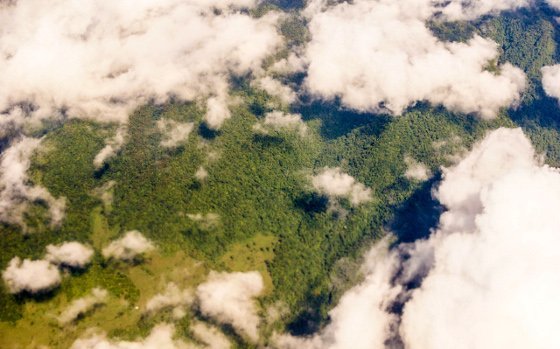 In Wolken spiegeln sich Ökosysteme wider