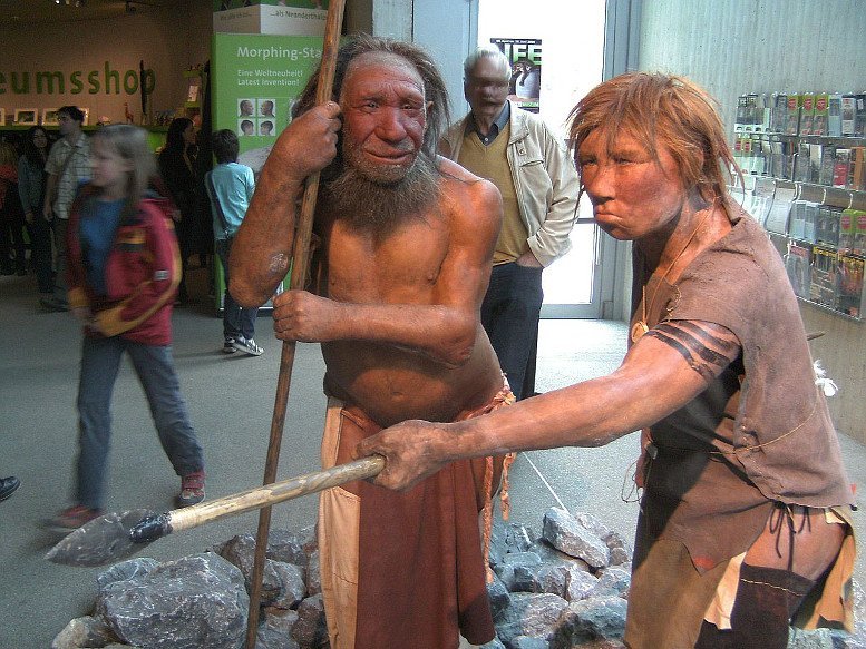 Neandertaler-Y-Chromosom spurlos verschwunden