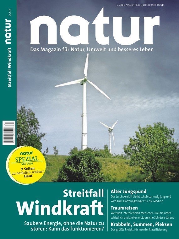 Streitfall Windkraft
