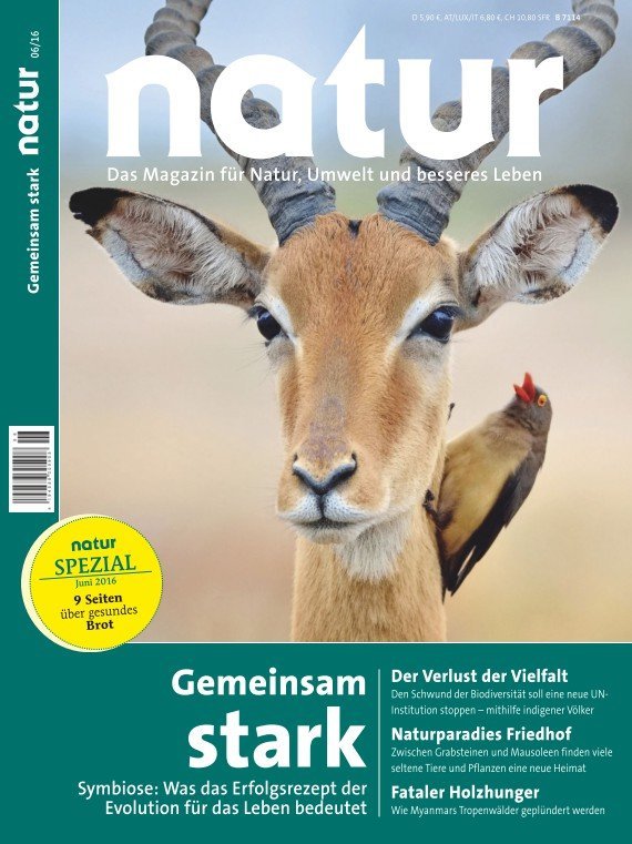 Gemeinsam stark