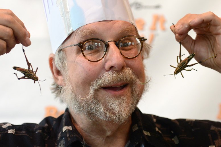 Insekten auf den Speiseplan!...?
