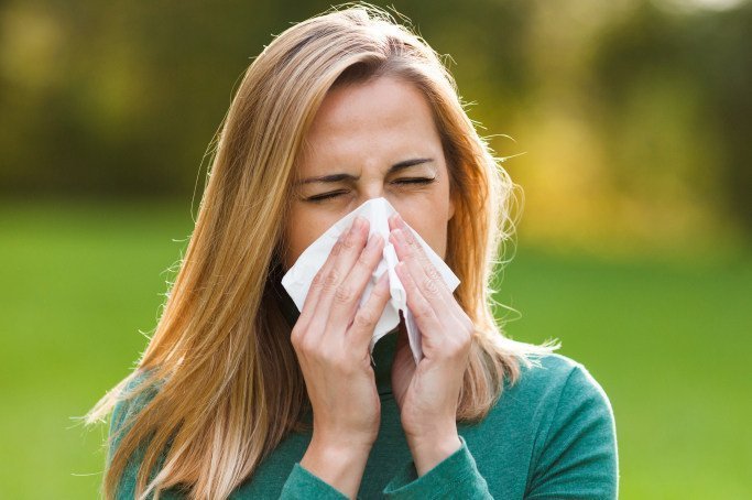 Komplizen der Pollen-Allergene aufgedeckt