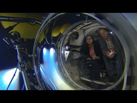 Ein Unterwasser-Vulkan im Visier