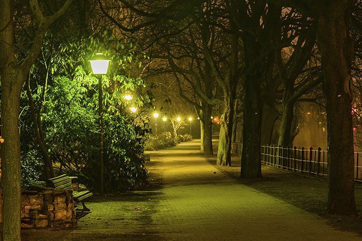 Früheres Frühjahr durch Nachtlicht