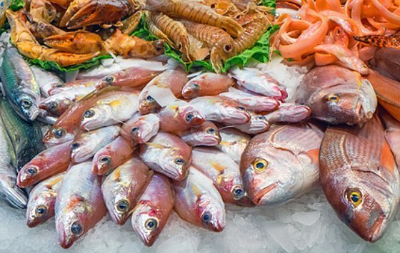 Ratgeber für ökologischen Fischgenuss