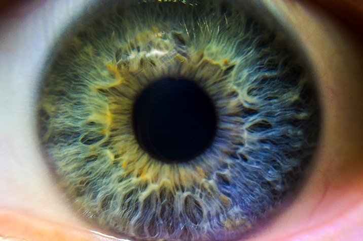 Superauge Mensch