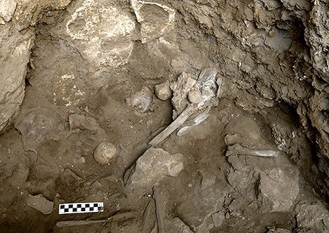 Zugedeckt mit Schildkrötenpanzern