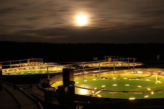 Am Stechlinsee ist die Nacht noch dunkel