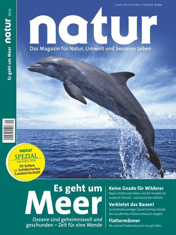 Es geht um Meer