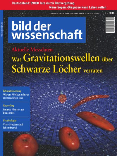 Was Gravitationswellen über Schwarze Löcher verraten