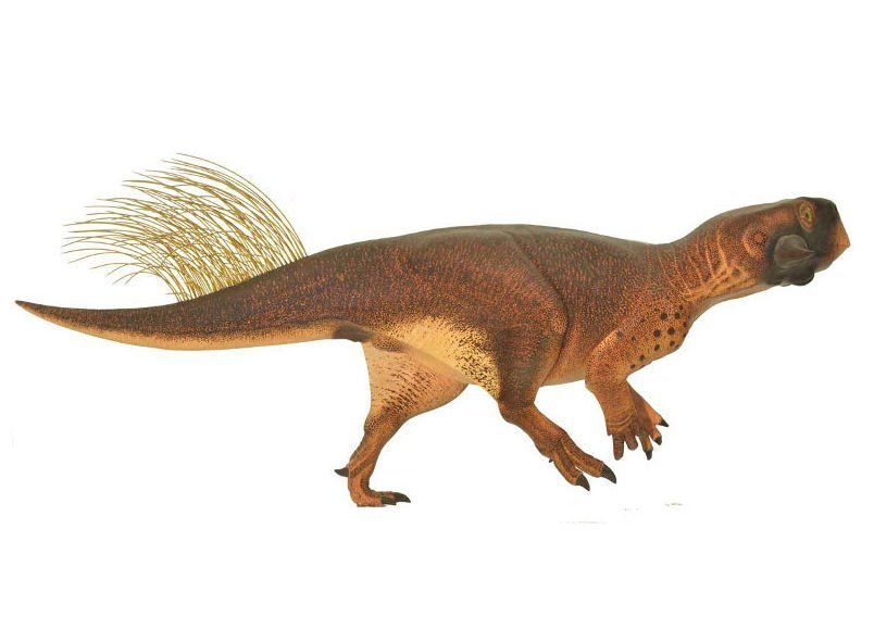 Auch Dinos tarnten sich schon