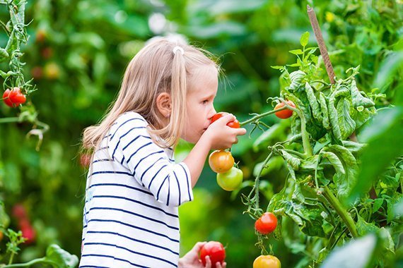 Garten als Klimahelfer