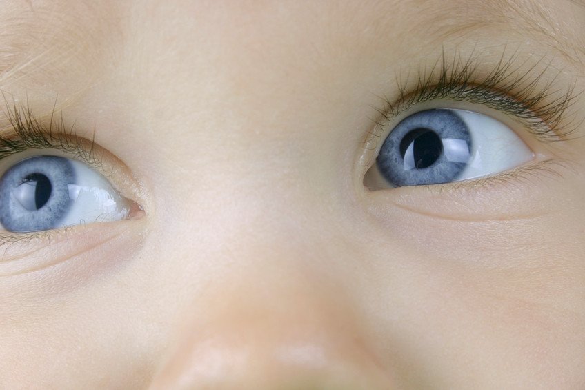 Wer mag was? Babys beobachten am Esstisch