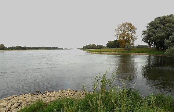 Schmerzmittel in Fluss und Bach