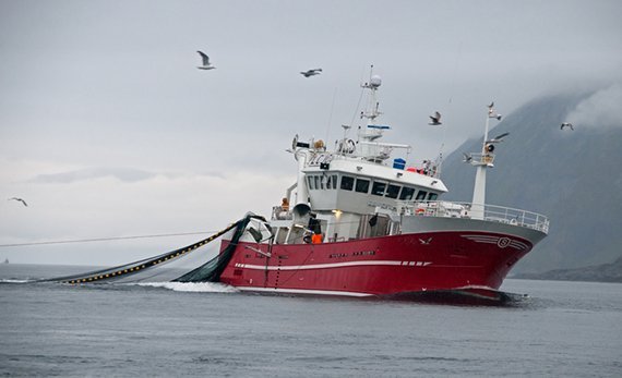 Fischerei: Nachhaltigkeit bringt sogar Gewinn