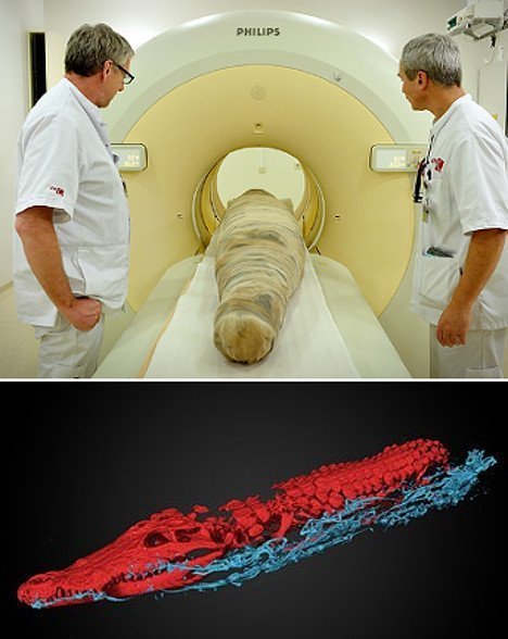 Überraschend gehaltvolle Krokodil-Mumie