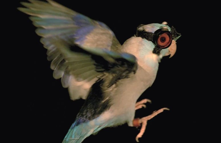 Laser-Schutzbrille ermöglicht Flug-Analyse