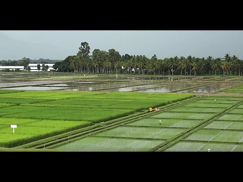 Wie können wir nachhaltig die Welt ernähren?