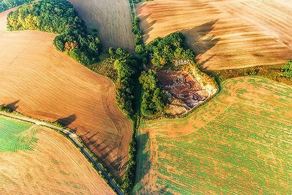Agrarpolitik: Was bringt das "Greening"?
