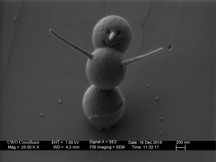 Winziger Winterbote