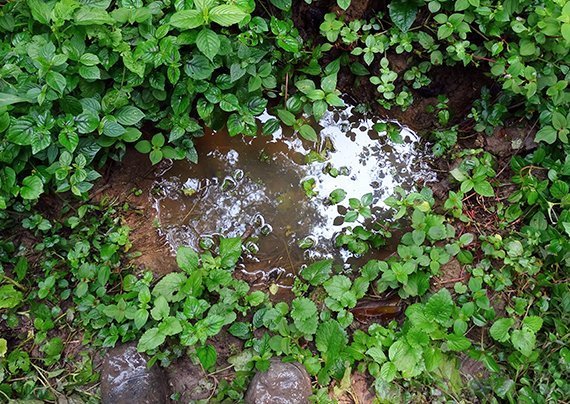 Lebenswelt im Fußabdruck